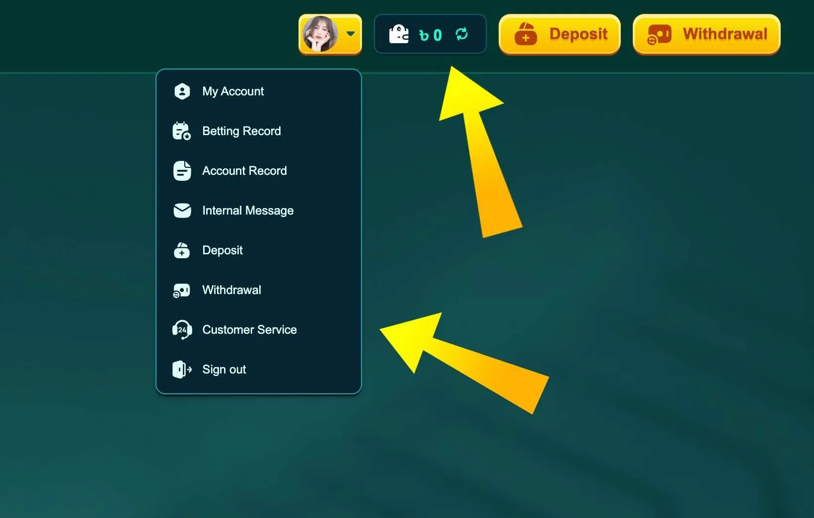 Personal account menu in EK333 app